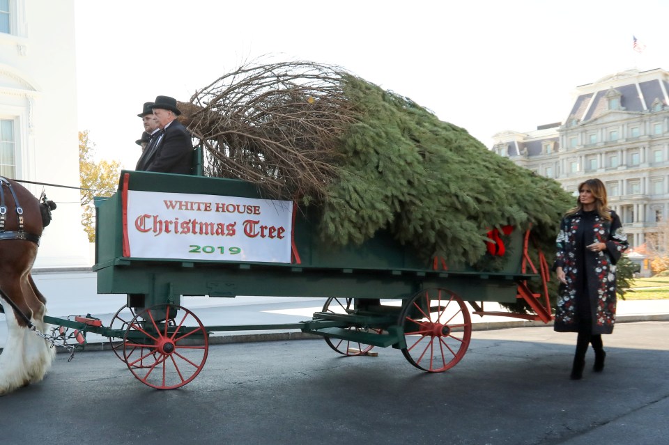  The official White House Christmas Tree is selected in an annual contest by the National Christmas Tree Association