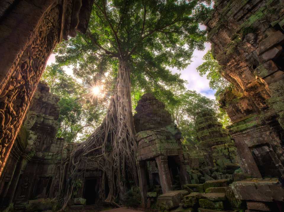  You can spend the day exploring the majestic towers of Angkor Wat in jungle