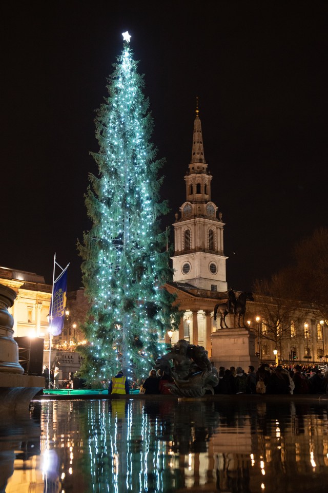 This year the tree in Trafalgar Square is, frankly, a bit of a disappointment