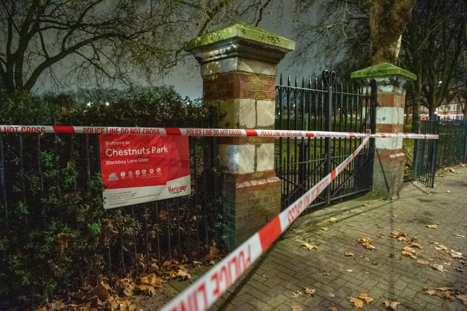  A 14-year-old girl was allegedly raped on Thursday night in Chestnuts Park in Haringey, North London