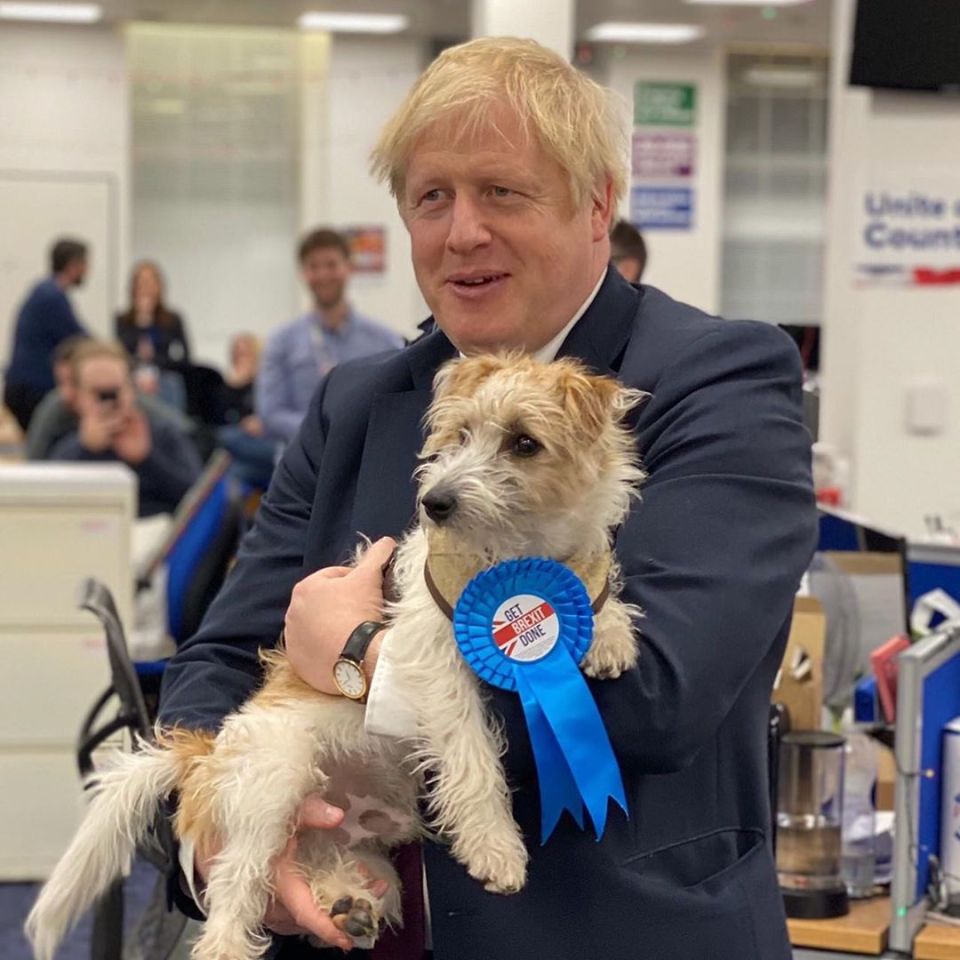  Boris also spoke fondly about Dilyn, the dog he and Carrie adopted when they moved to Downing Street