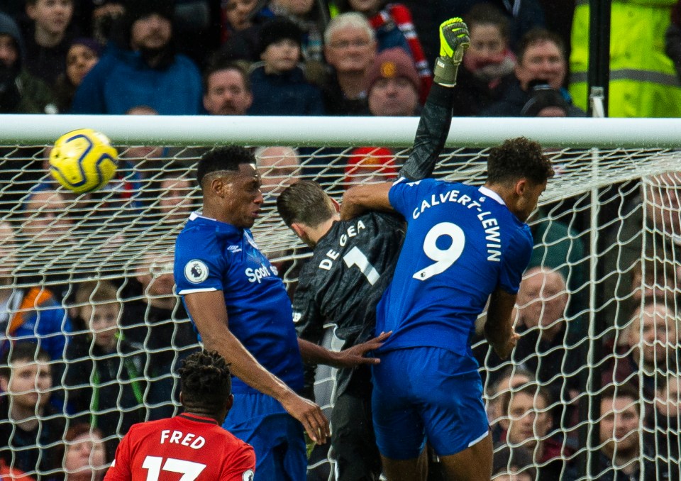  David De Gea appeared to be fouled by Dominic Calvert-Lewin for the opener but the goal stood despite a VAR check