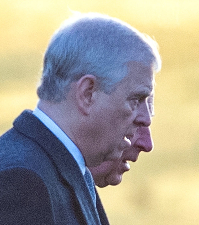  The scandal-hit royal was supported by his brother Charles