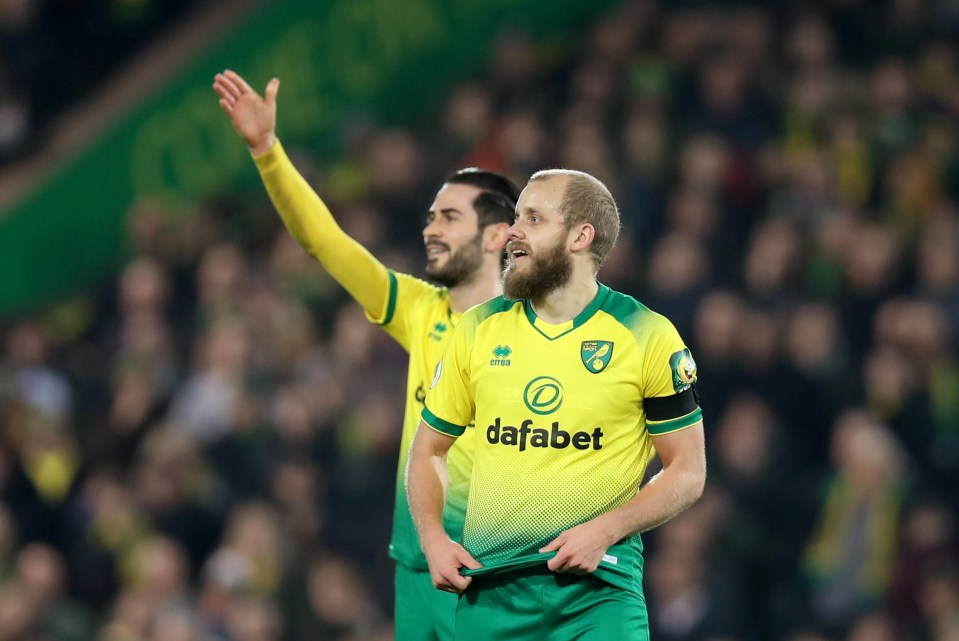  Teemu Pukki looked on confused as his effort was controversially ruled out by VAR