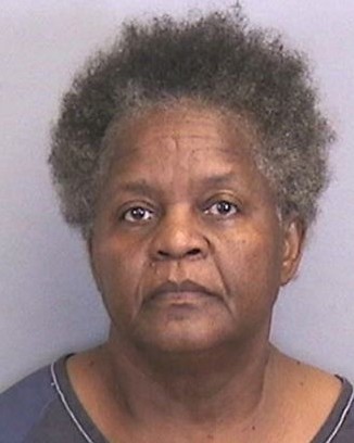  Pinkney was charged with obstruction and battery on a law enforcement officer but her grandson is still at large