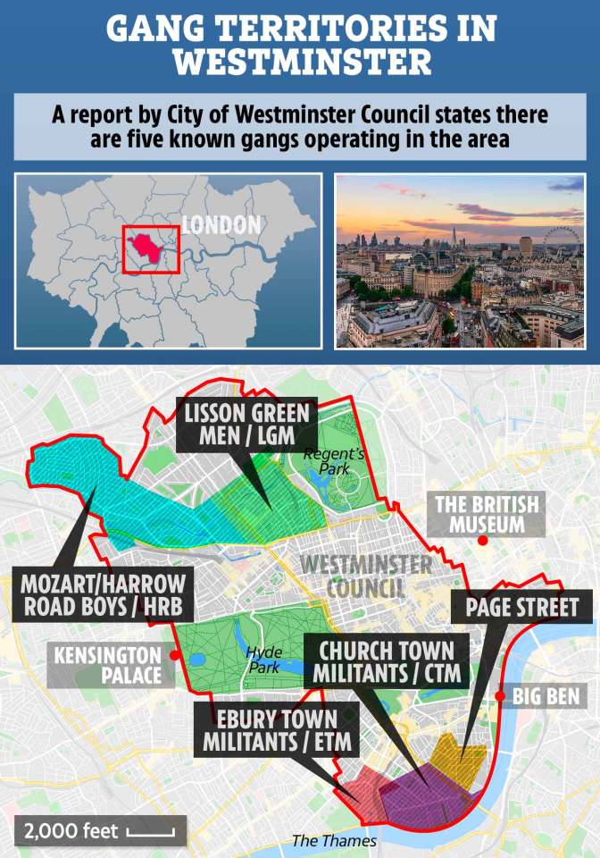  Five main gangs are known to operate in the Westminster area