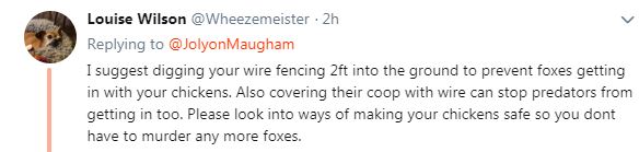  Above: the lawyer's bludgeoning of the trapped fox prompted outrage on Twitter