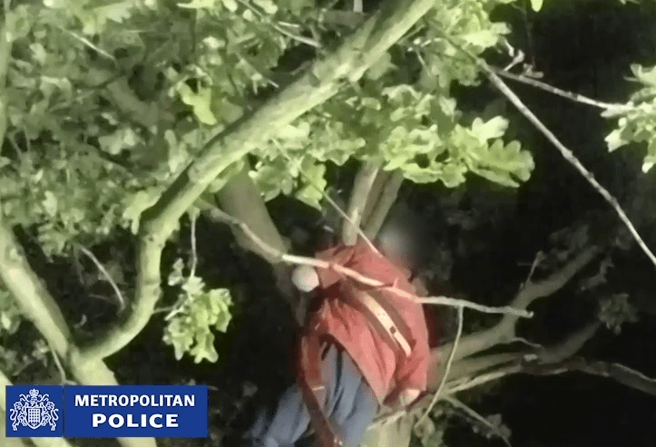  He was arrested after fleeing up a tree during a five-hour stand-off