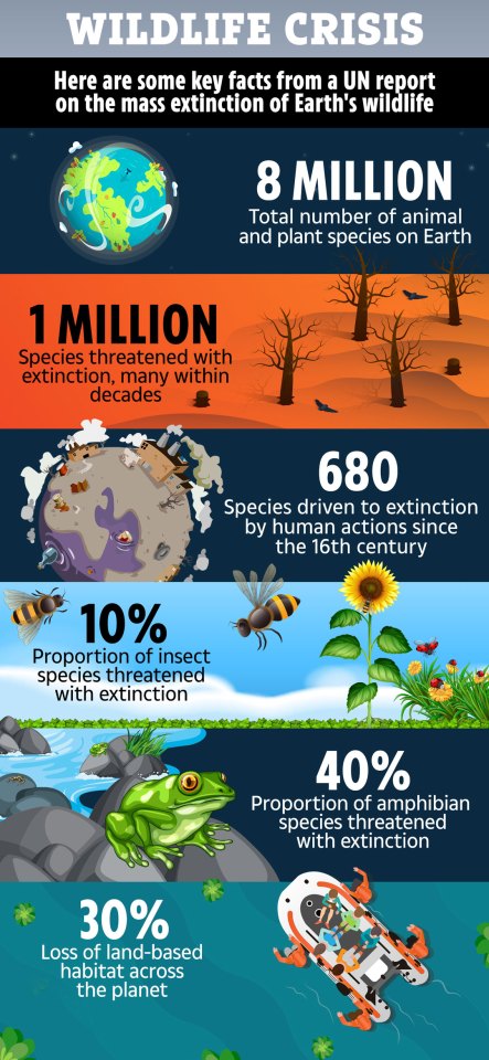  The above stats are based on a UN report on Earth's wildlife