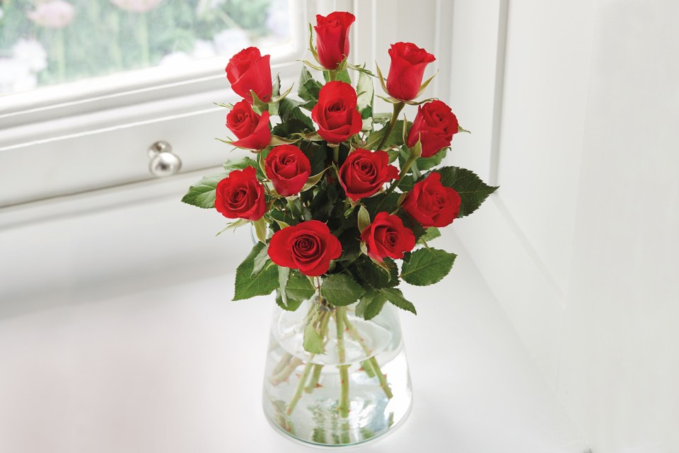  Aldi is selling a dozen red roses for just £1.99