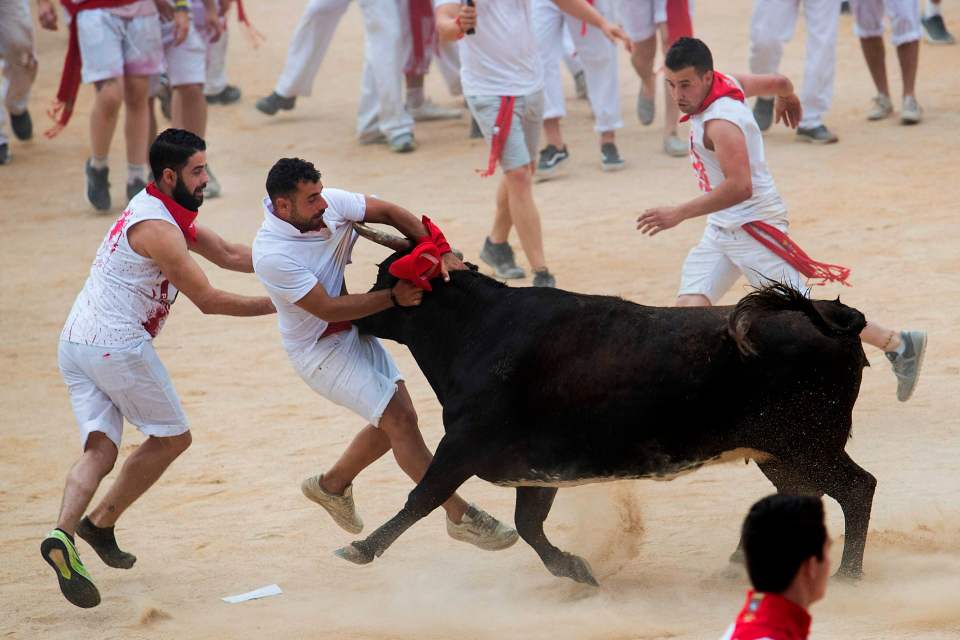  The running of the bulls is a decades old event