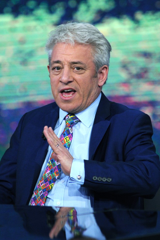  Mr Bercow has denied all previous allegations of bullying