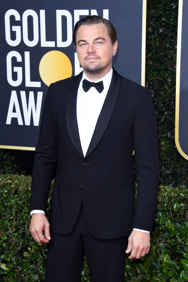  Leonardo DiCaprio insisted he is down to earth after Ricky Gervais's shocking Golden Globes speech