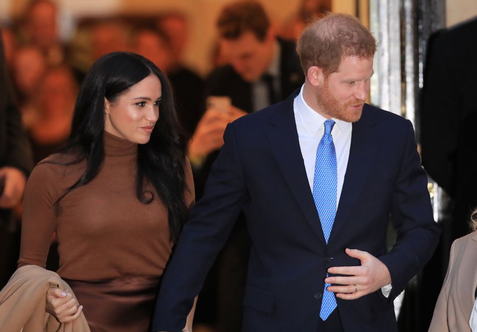  Meghan may call members of the Royal Family 'racist and sexist', aides have told the Times