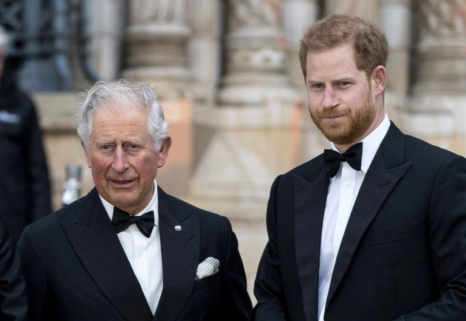  Prince Harry will still be funded by his father, Prince Charles