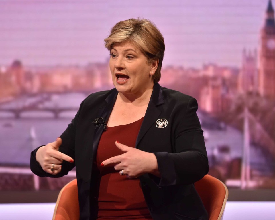 Emily Thornberry admits she was wrong to tweet infamous snap of voter’s house displaying St George’s flags