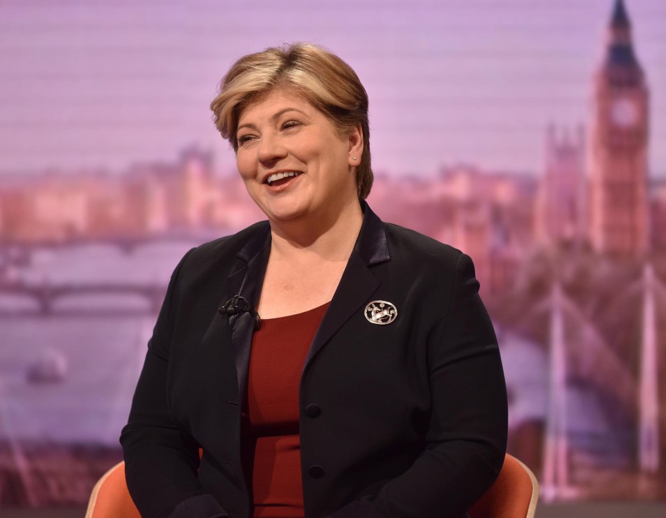  Emily Thornberry limped over the line with just minutes to spare after being lent the votes of left-wingers