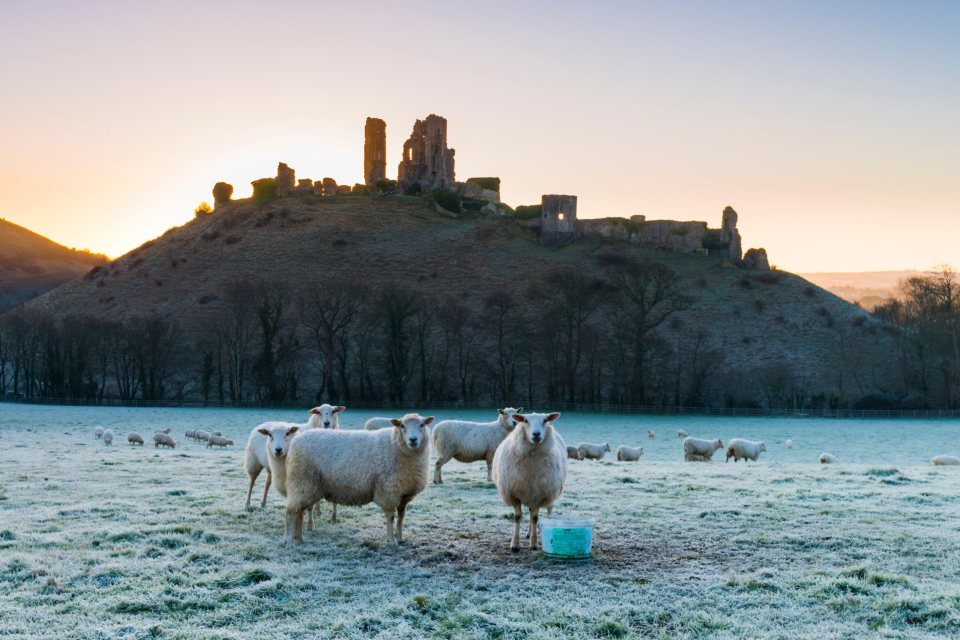 Frosty weather in Dorset