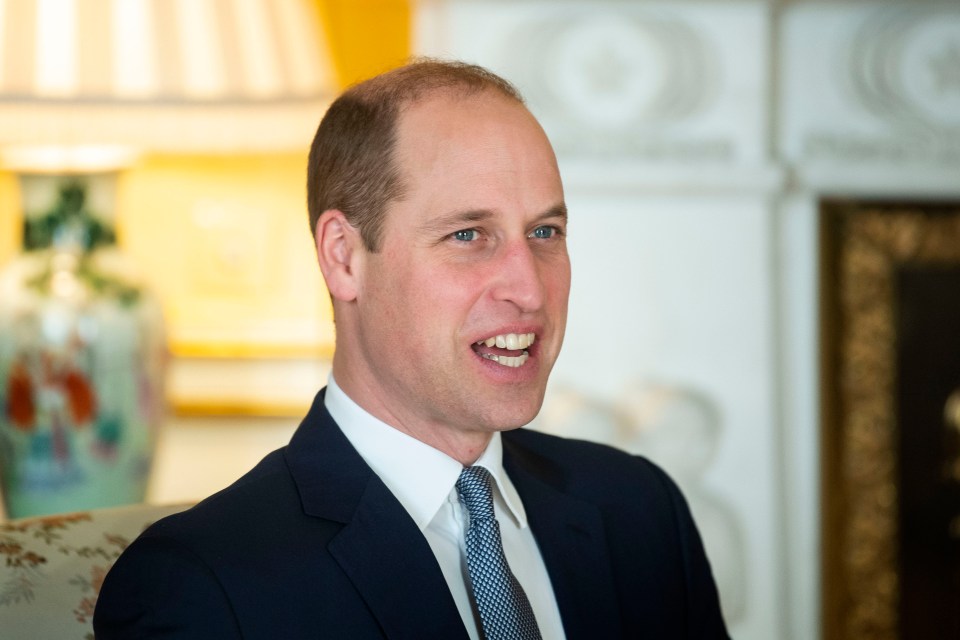 Prince William carried out the reception that Harry was due to co-host