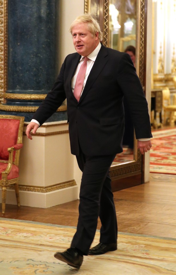 Prime Minister Boris Johnson arrives at Buckingham Palace for the UK-Africa Investment Summit