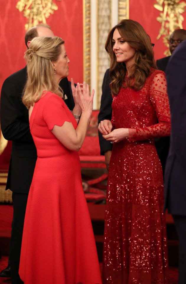 The Earl and Countess of Wessex speaks with the Duchess of Cambridge at the bash