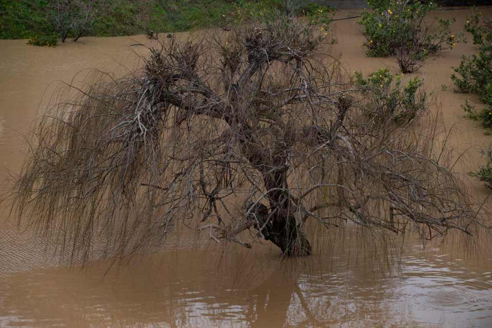  Shocking flood waters have cut off swathes of northern Spain