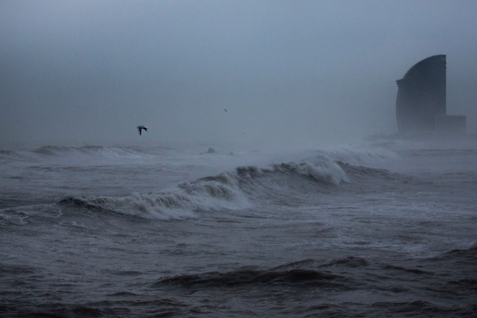  A seagull flies amid a storm over Barcelona's beach