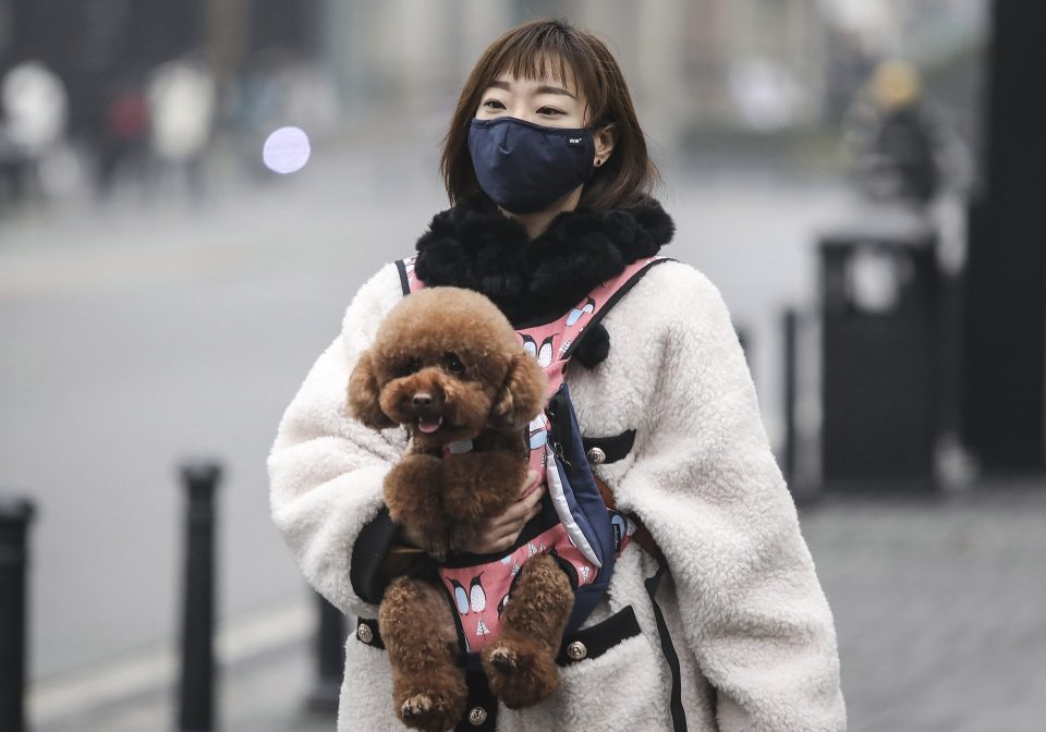  Desperate residents wearing facemasks has become the norm, so much so that many stores have completely sold out