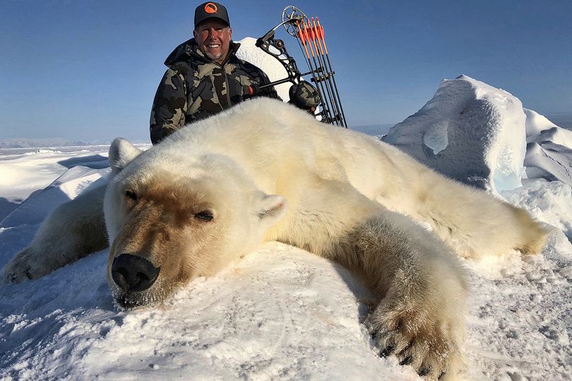  Heartless trophy hunters are responsible for the death of thousands of polar bears