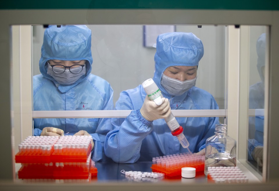 Experts in China carry out work on a new coronavirus nucleic acid detection kit