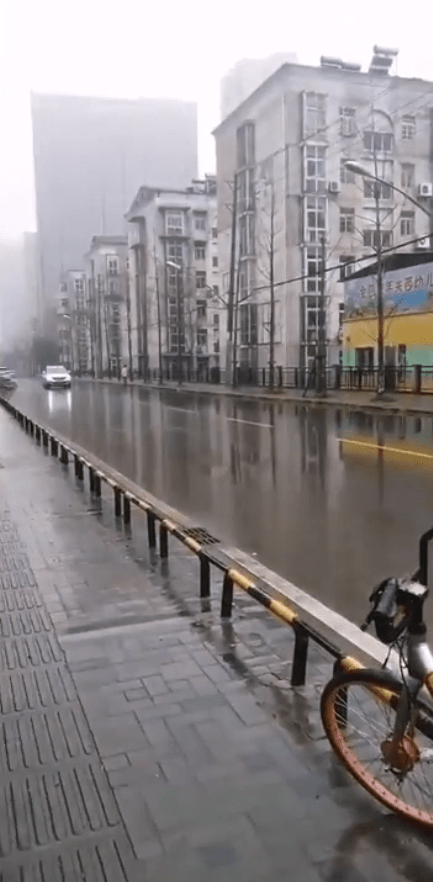  Wuhan was also empty after becoming the epicentre of the virus