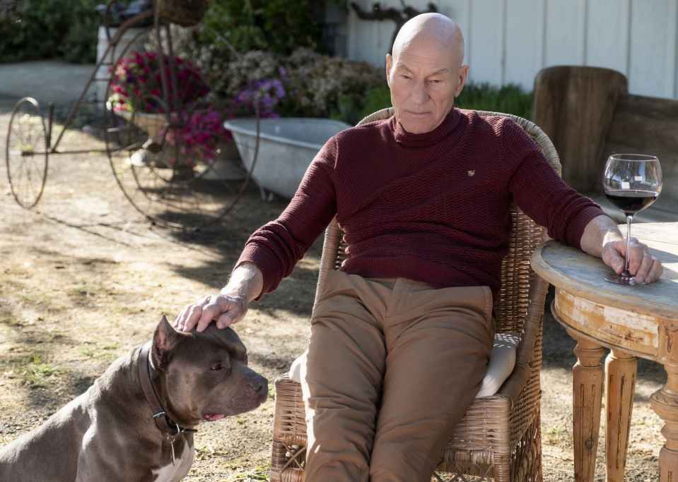  Jean-Luc Picard has retired to a vineyard