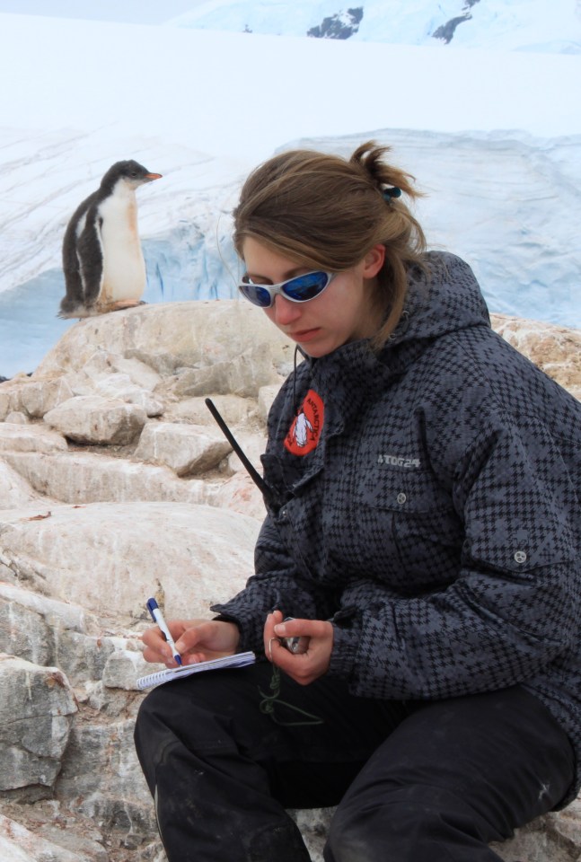 Workers at the base run the gift shop and occasionally count the penguins