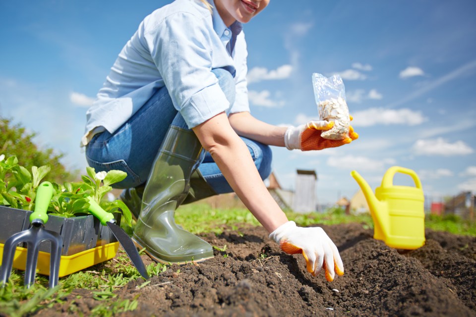  Gardening twice a week can also improve your muscle strength