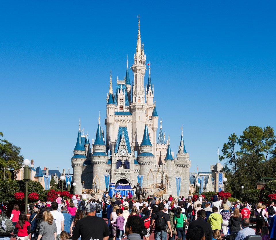 Disney fans are conflicted, with some saying the new designs are too similar to Sleeping Beauty's Castle