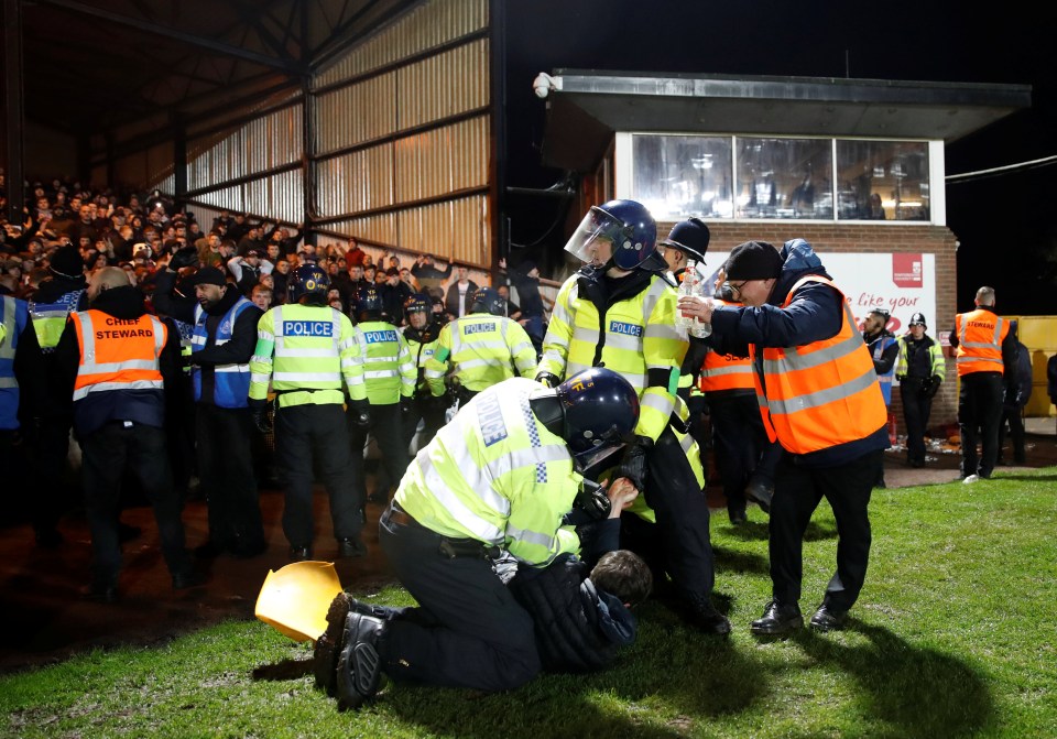 Thugs threw missiles at cops and tried to get on the pitch in the ugly encounter