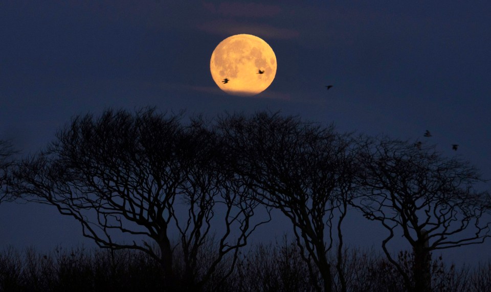 A full moon sets near Whitley Bay, North Tyneside