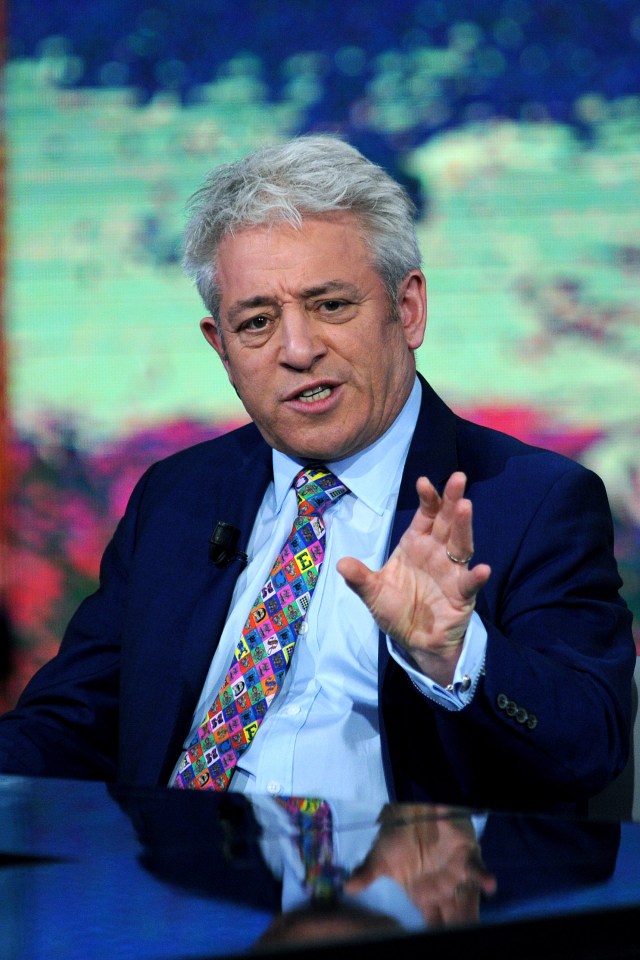  Former Commons Speaker John Bercow has dismissed claims that he 'brutalised' parliamentary staff