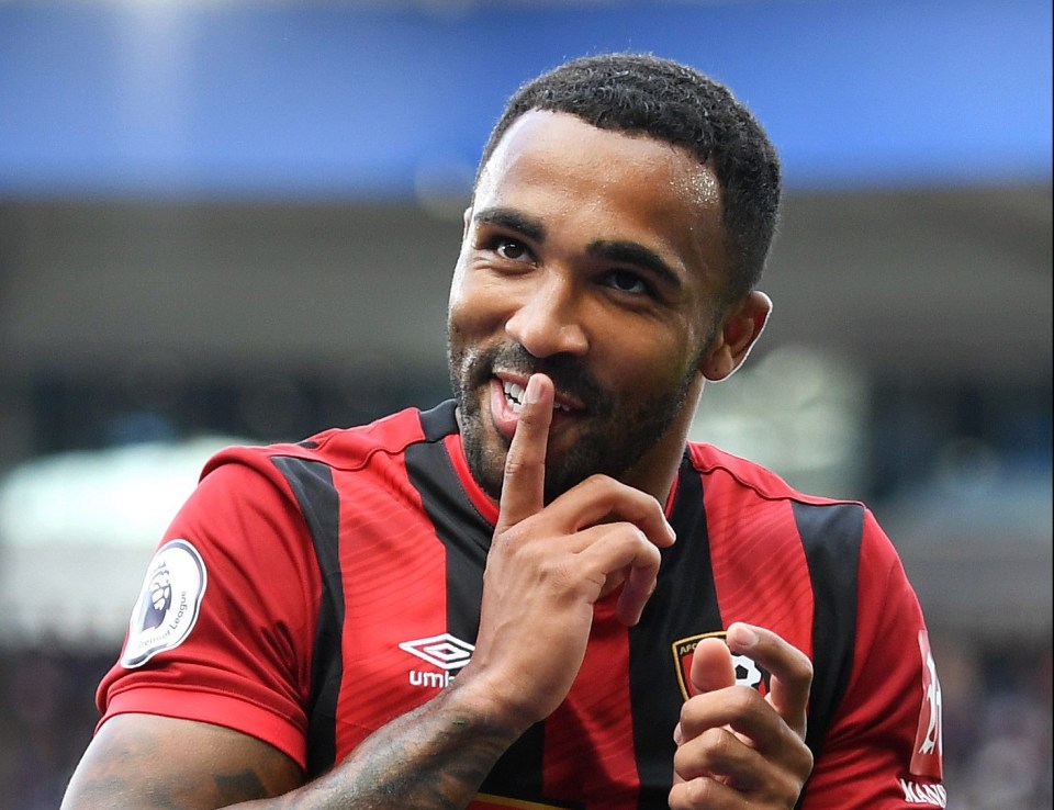 Tottenham are ready to swoop for Callum Wilson after Bournemouth fail in their bid to avoid relegation