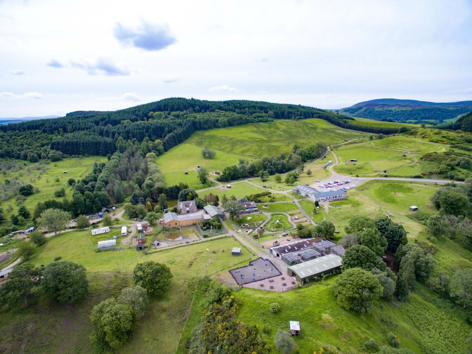  A wildlife park in Perthshire, Scotland, is up for sale for £1.5million