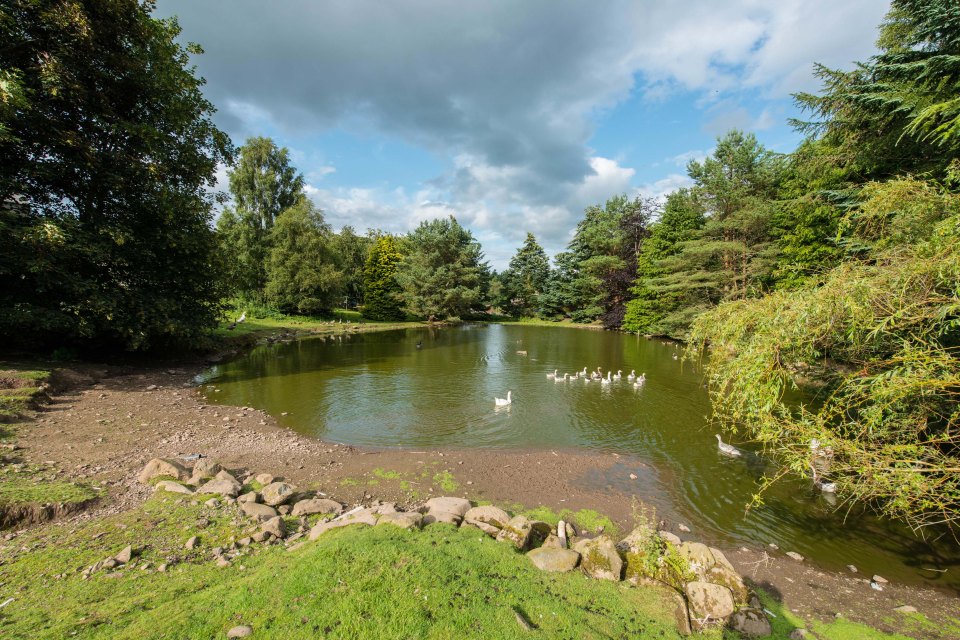  There are four bait and fly-fishing ponds