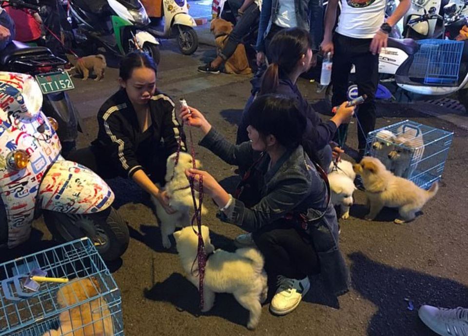  Pet owners in China have been warned to 'deal with' their pets or risk having them killed by local authorities amid the coronavirus outbreak