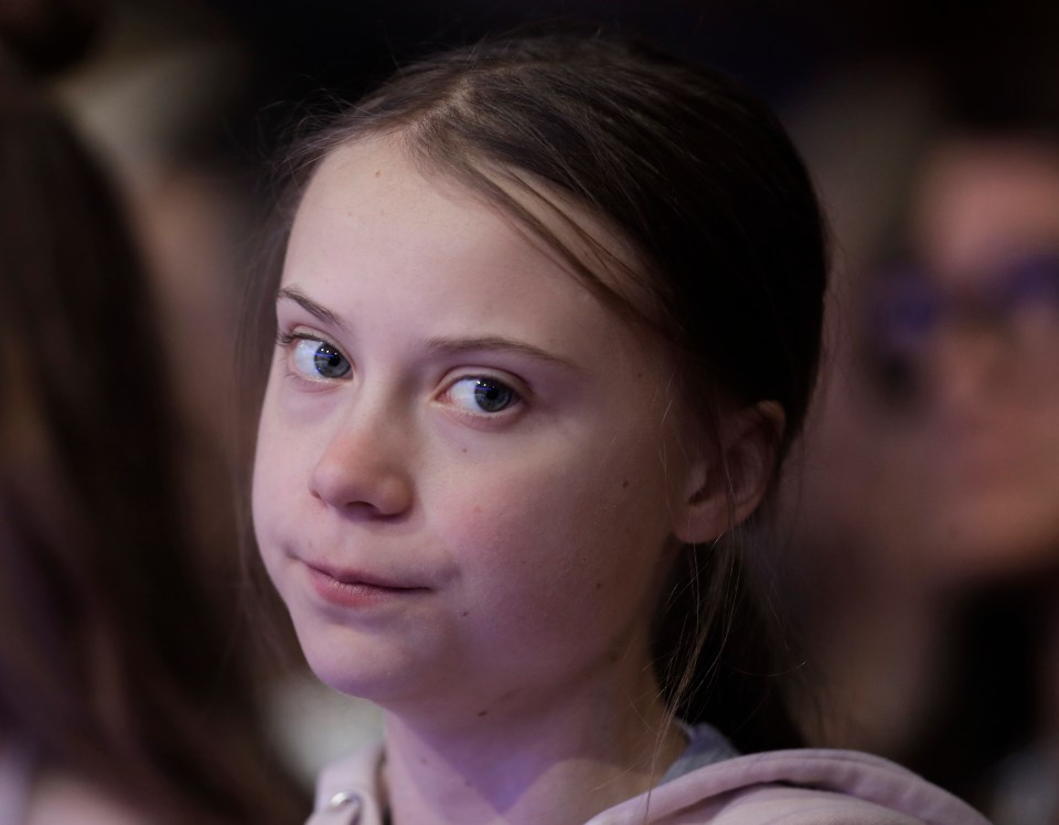  I am sick of XR morons' criminal behaviour and Greta Thunberg's alarmist term 'climate emergency'