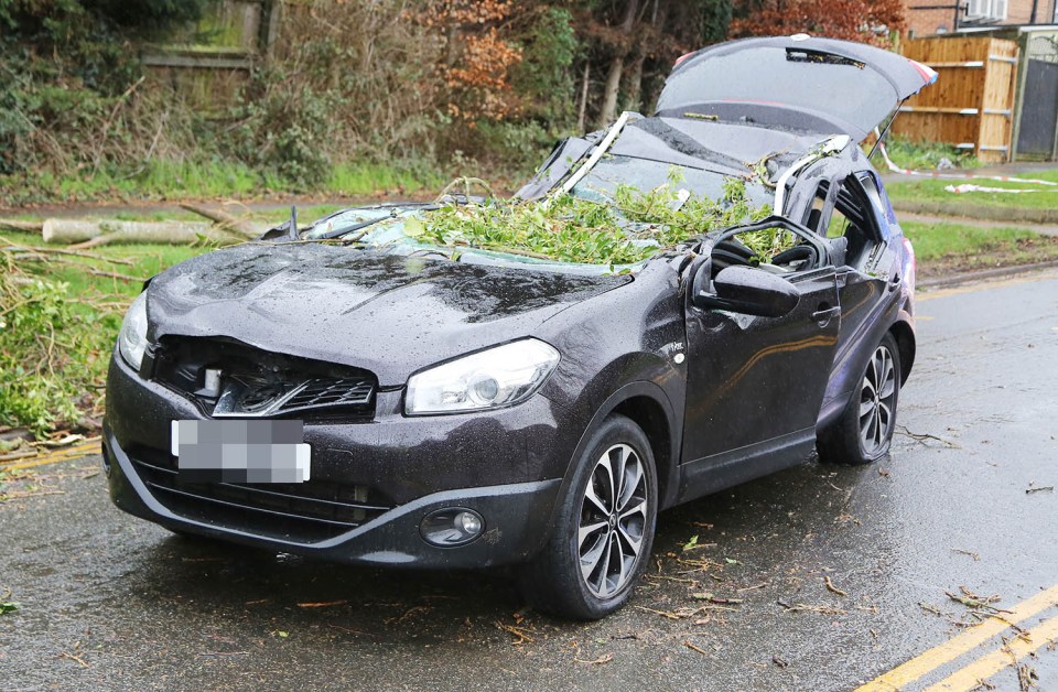 Firemen cut a person out of a car after it was hit by a falling tree in Bedfordshire this morning