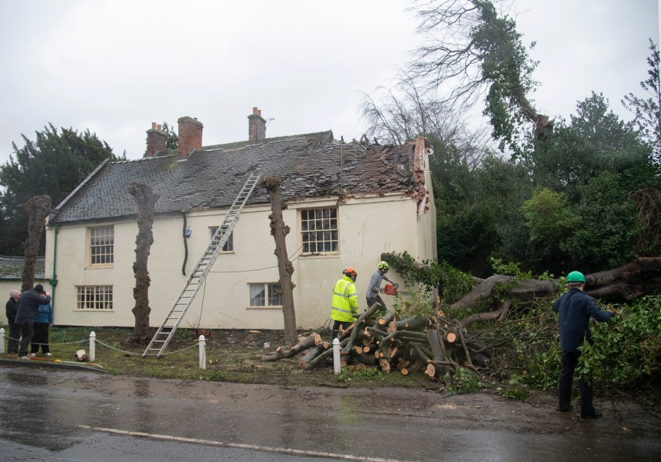 Tree surgeons remove a fallen tree which fell and damaged a house in the village of Willington, Derbyshire