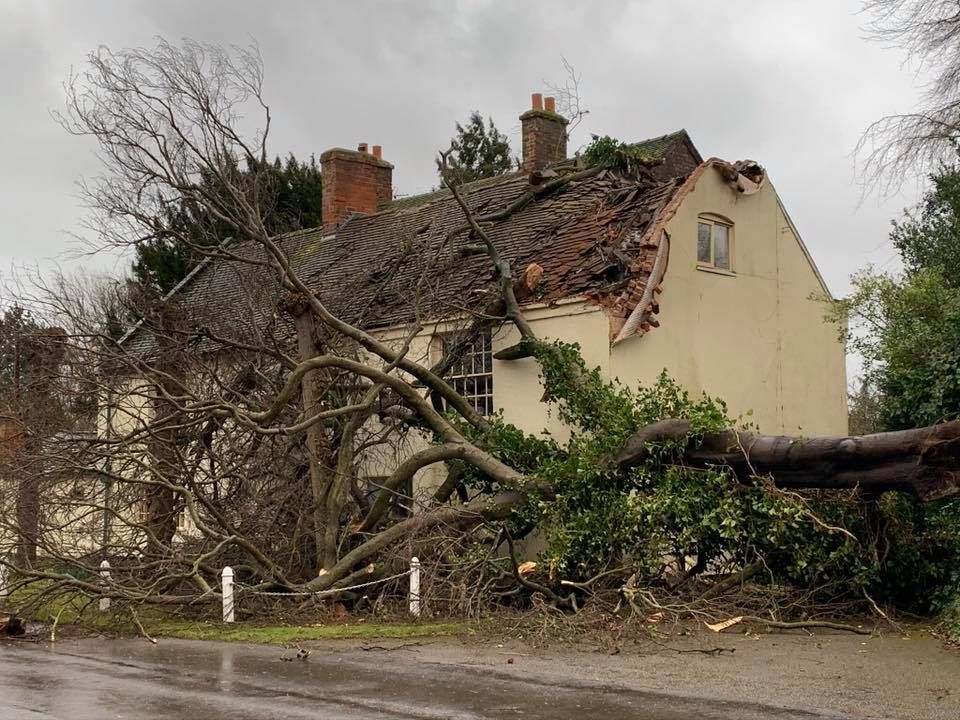  A tree was blown onto a couple's house in Willington, Derbyshire