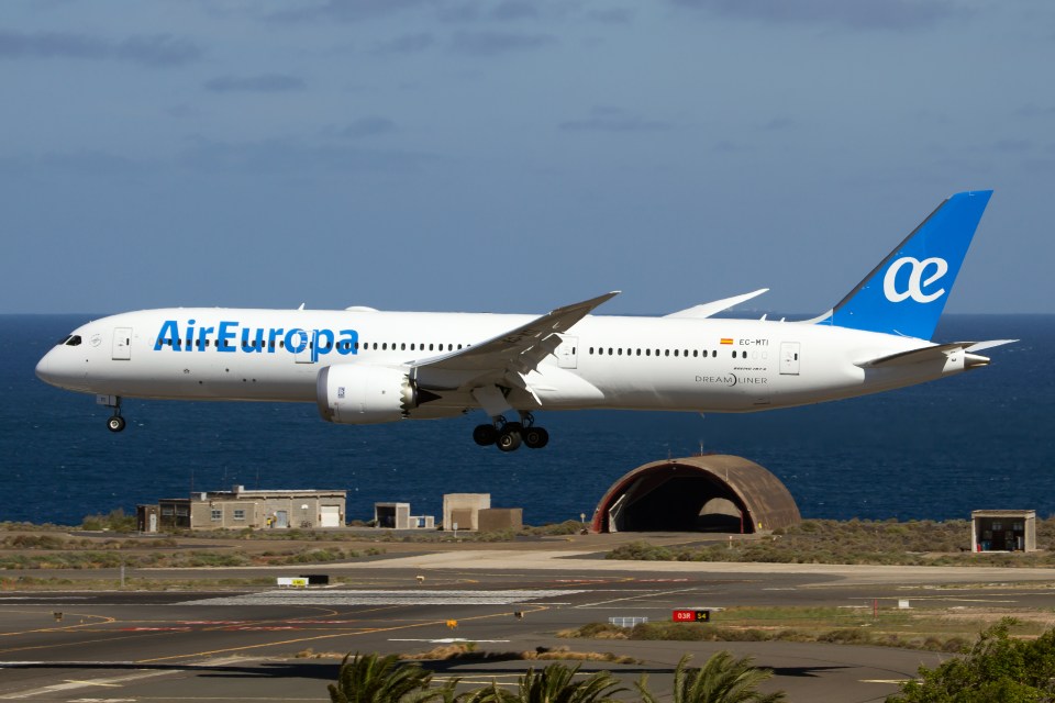  There were around 300 on board the Air Europa 787 jet (file image)