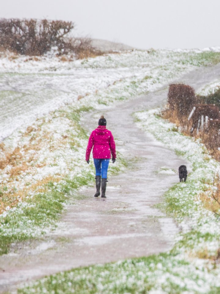  Snow hits the town of Dunfermline, Fife, Scotland, after Storm Ciara