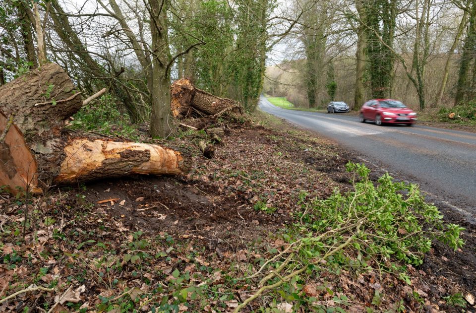  The scene after a 58 year-old man died after a tree fell onto his car on the A33 between Winchester and Micheldever