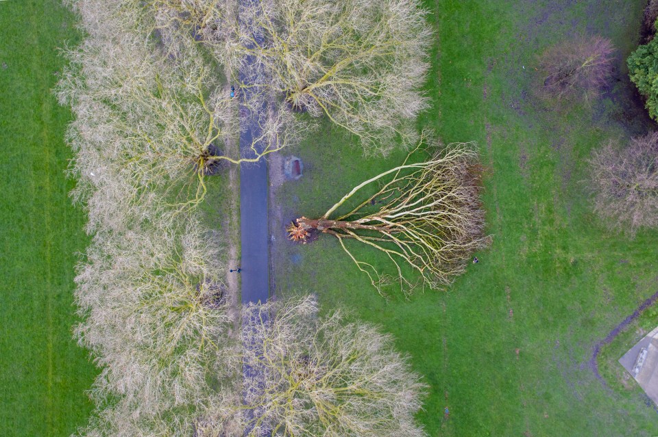  Winds of 97mph ripped through the Isle of Wight